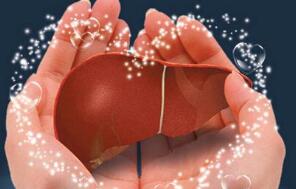 如何護肝 掌握這四個方面