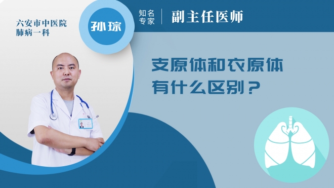 支原體和衣原體有什么區(qū)別？