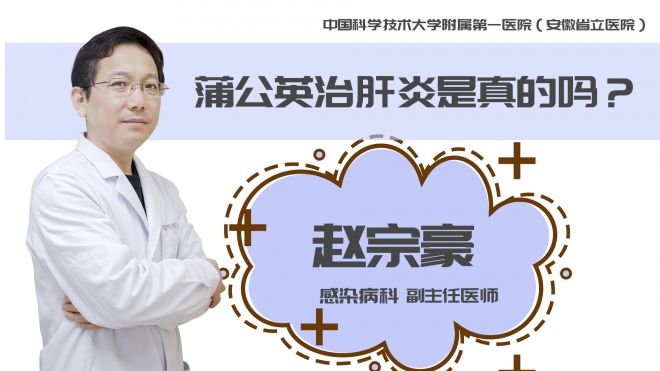 蒲公英治肝炎是真的嗎？